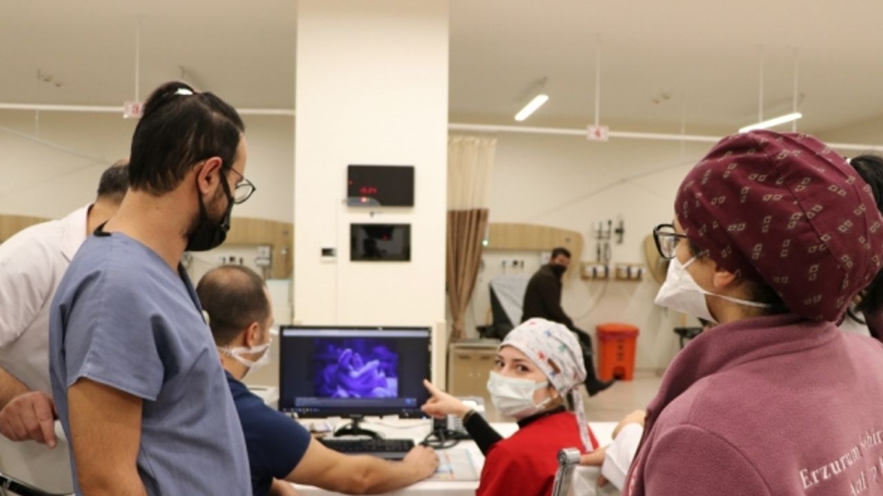 Erzurum Şehir Hastanesi doktorları AA'nın "Yılın Fotoğrafları" oylamasına katıldı
