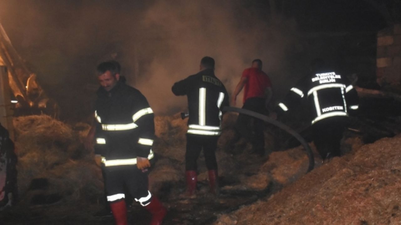 Kars'ta ot yığınlarının bulunduğu alanda çıkan yangın söndürüldü