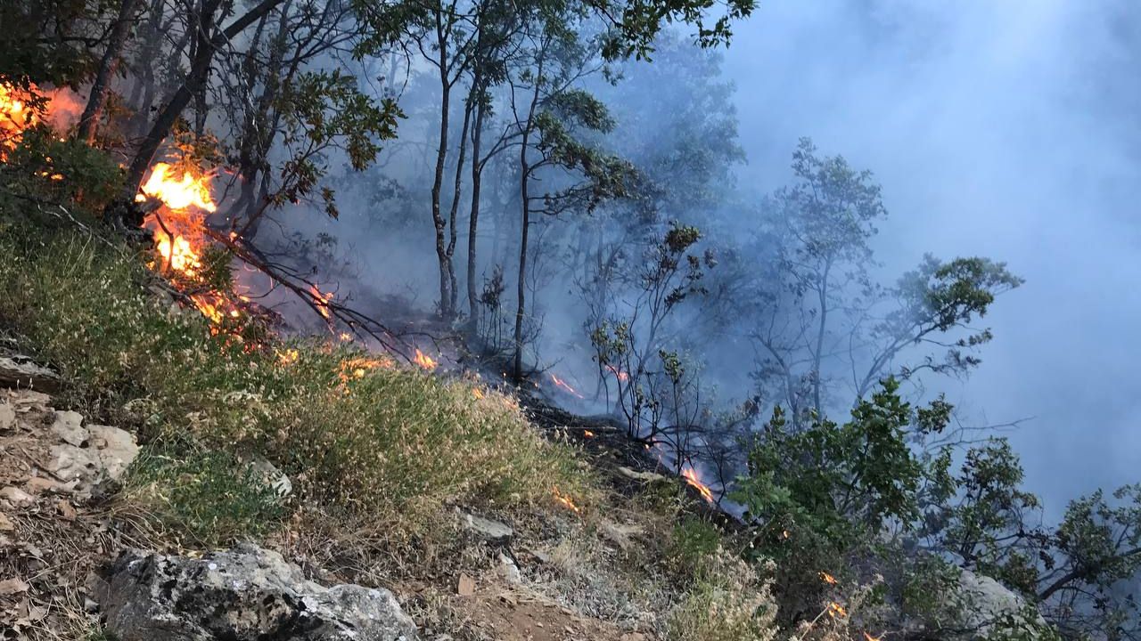 Ormanlık alanda yangın: 5 saat sonra kontrol altına alındı