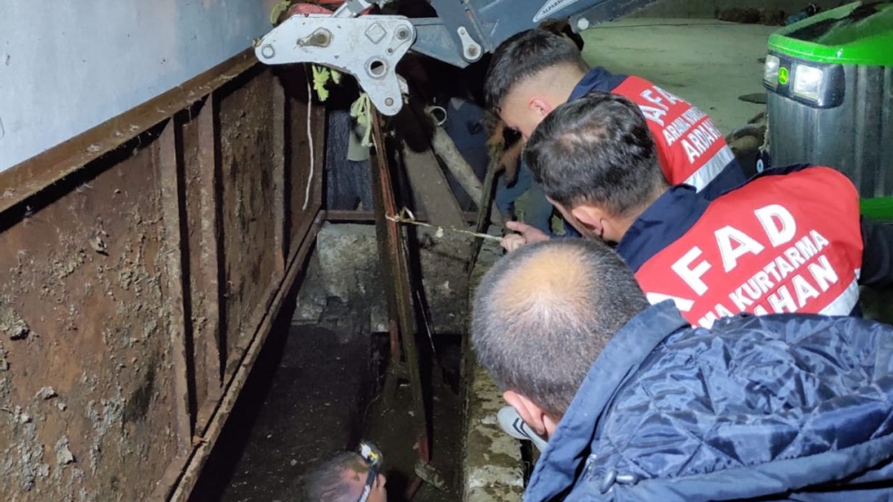 Ardahan'da biri gübre diğeri foseptik çukuruna düşen inek ile köpek kurtarıldı