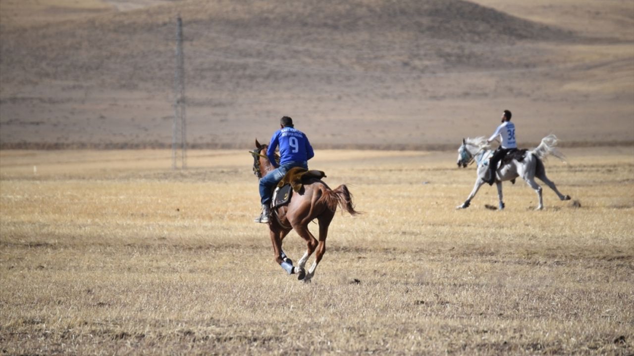 Kars'ta havaların serinlemesiyle cirit atları dörtnala sahaya sürüldü