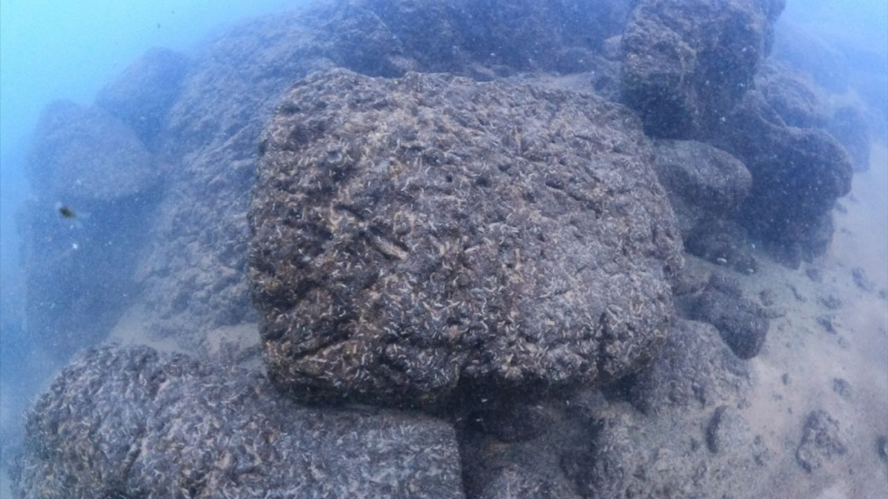 Van Gölü'nün çekilmesiyle ortaya çıkan Urartu limanı su altından görüntülendi