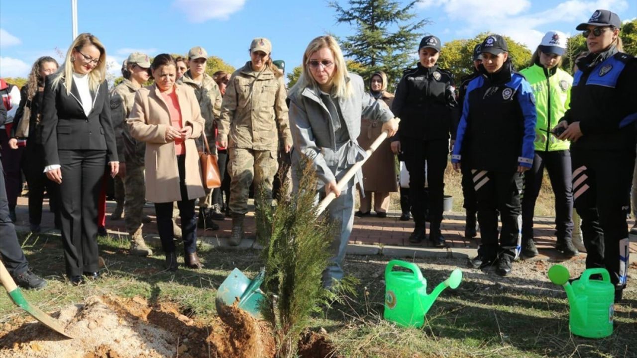 Tunceli'de şiddet sonucu hayatını kaybeden kadınlar anısına fidan dikildi