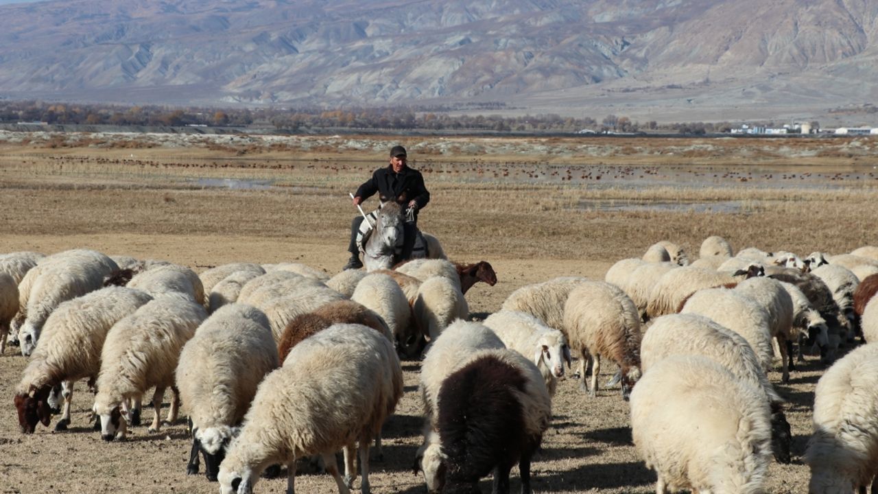 Erzincanlı çoban, sürüsünün peşinde yarım asır geçirdi
