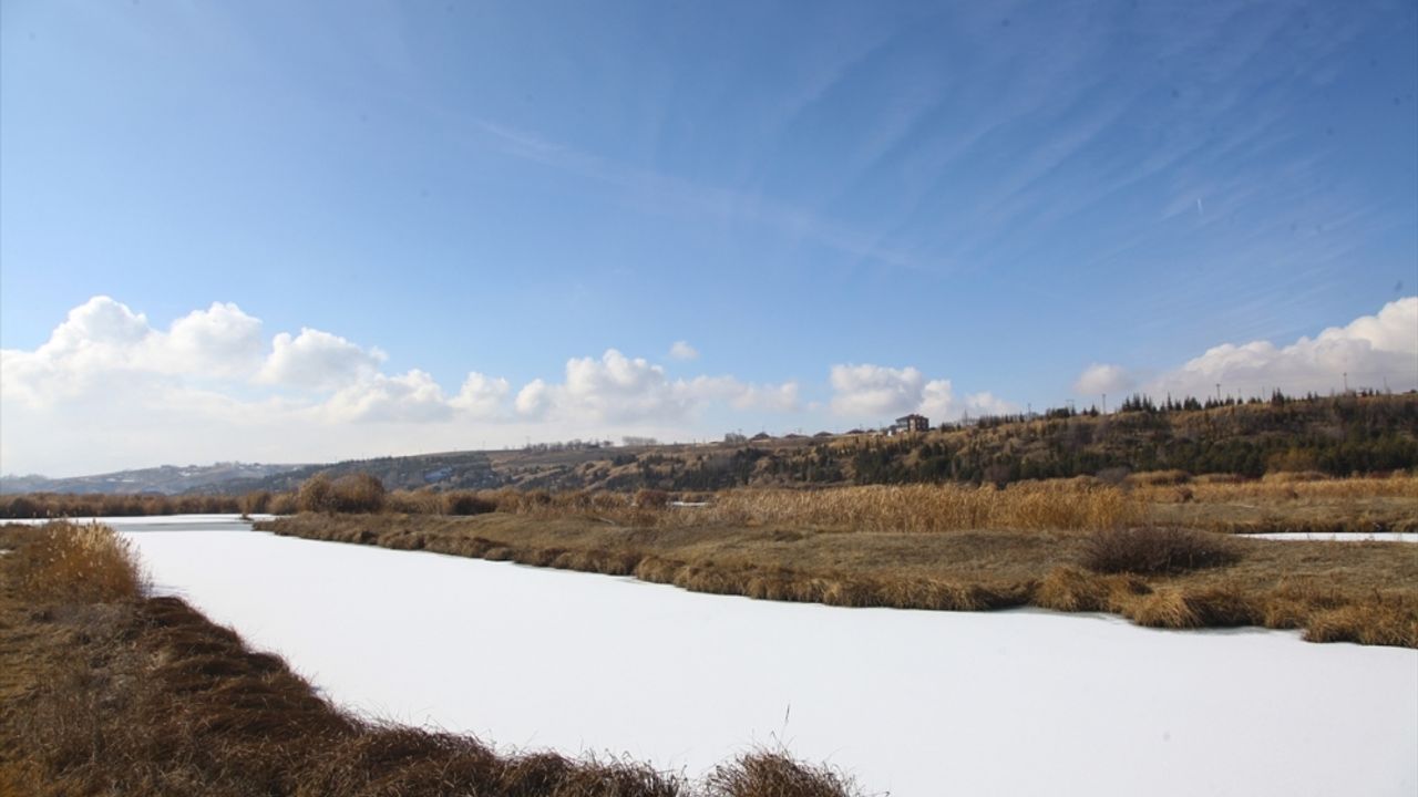 Ahlat'ta onlarca kuş türünün barındığı göletin yüzeyi buzla kaplandı