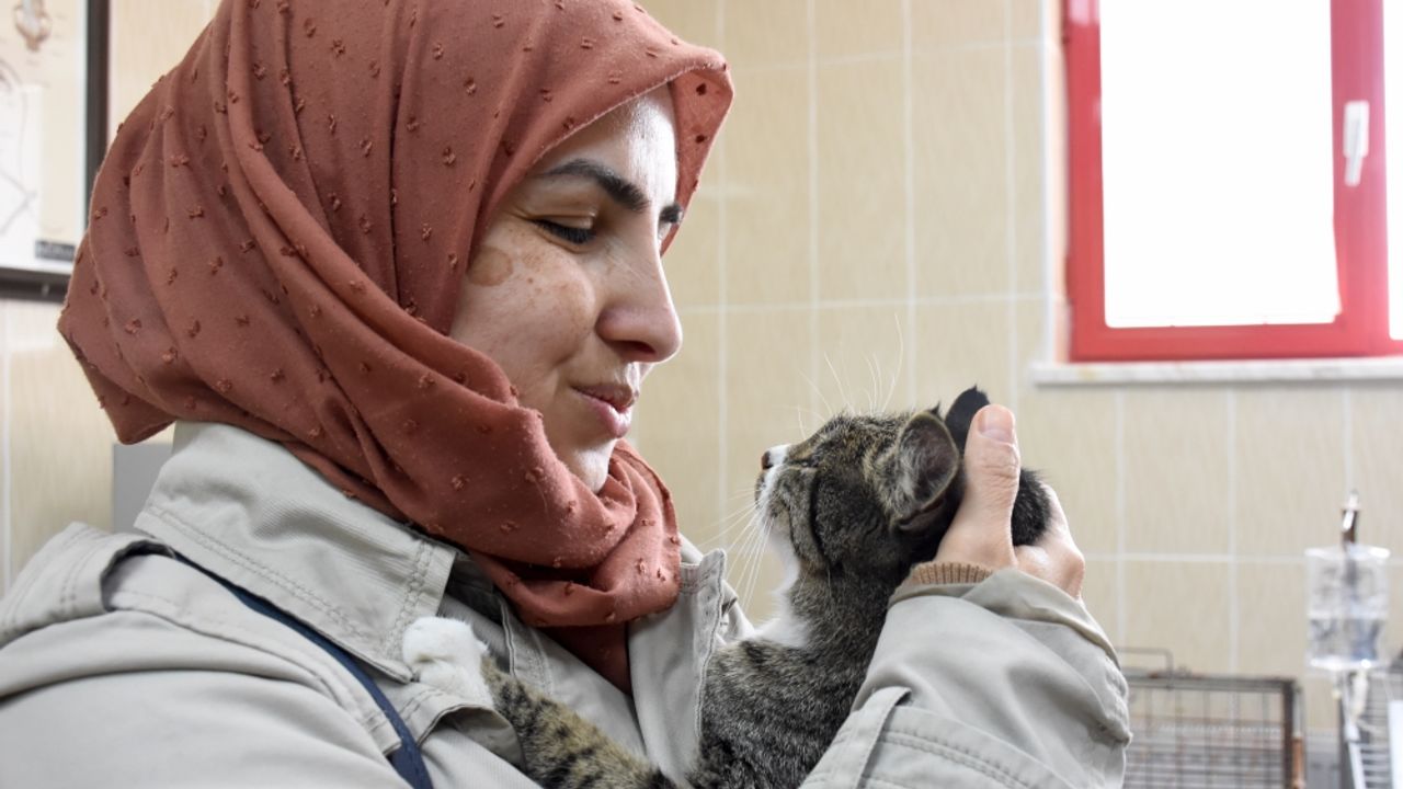 Enkazdan çıkarılan kedileri "Nane" için İzmir'den Malatya'ya döndüler