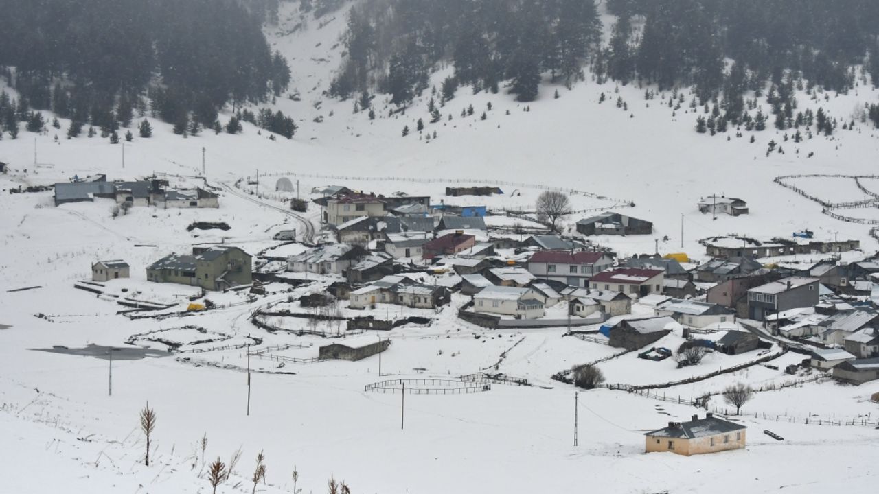 Kars Sarıkamış ile Erzurum'un yüksek kesimlerinde kar etkili oldu