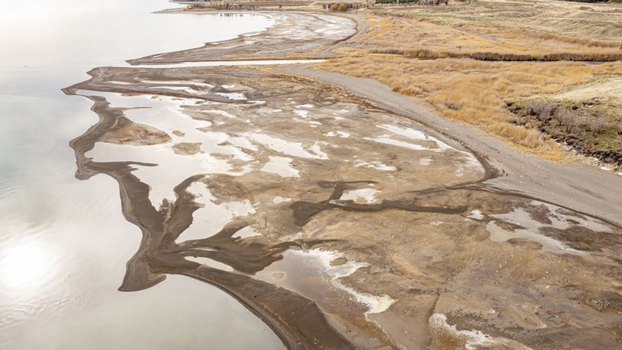 Van Gölü'ndeki çekilme inci kefalinin göç yolculuğunu uzatacak