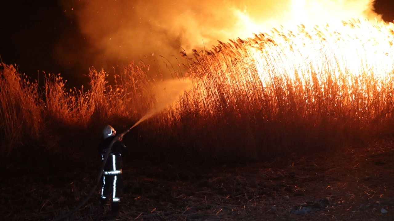 Van'da göçmen kuşların uğrak yeri olan sazlık yangında zarar gördü