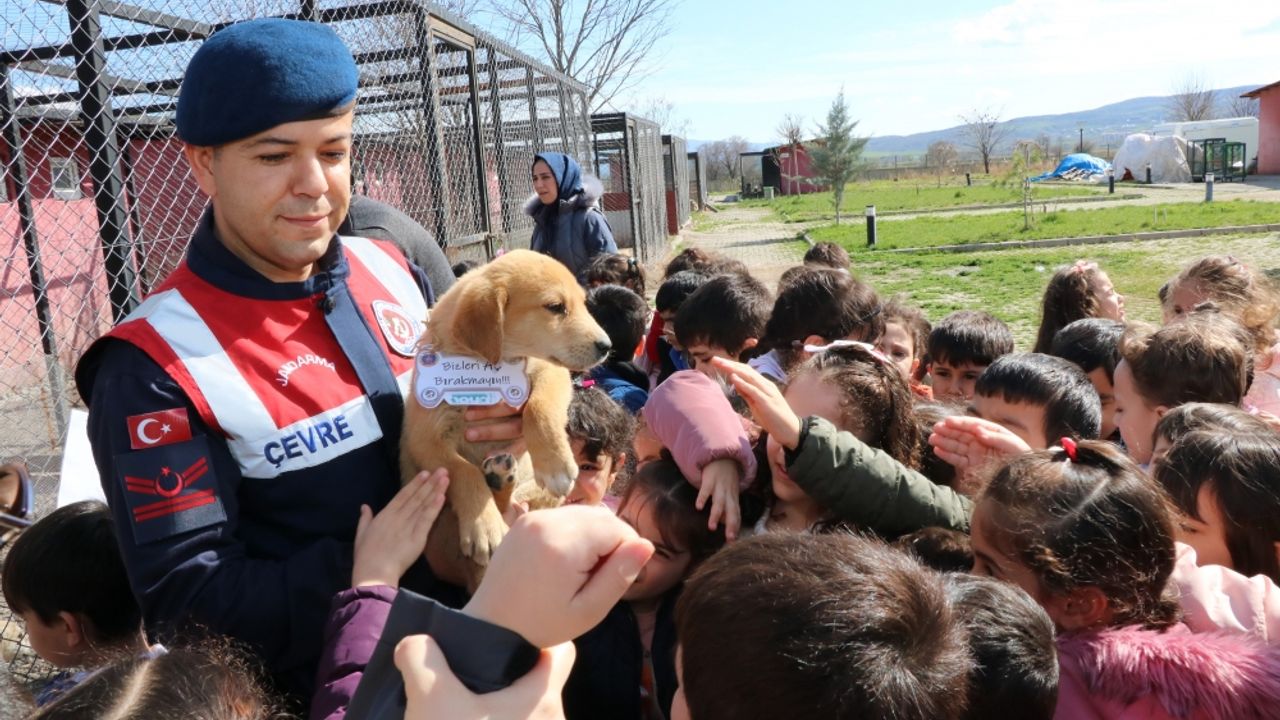 Jandarma ekipleri çocuklarla birlikte hayvan bakımevini ziyaret etti