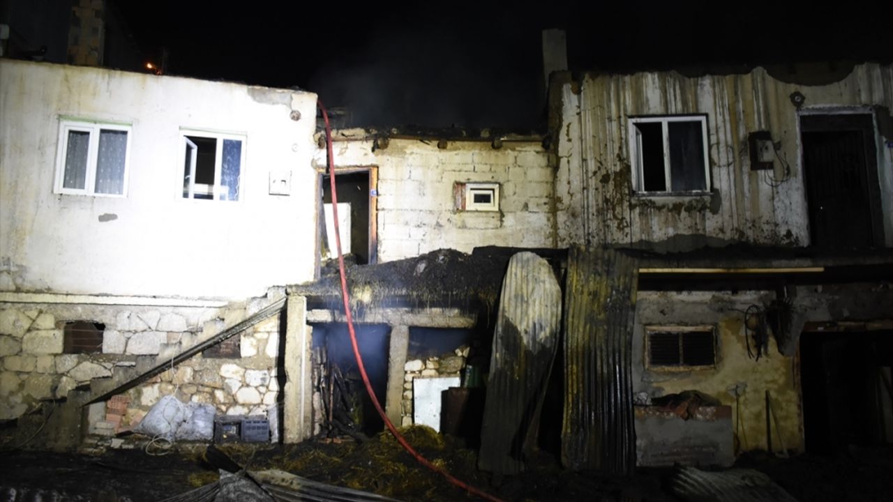 Erzurum'da çıkan yangında 7 ev, 8 ahır kullanılamaz hale geldi