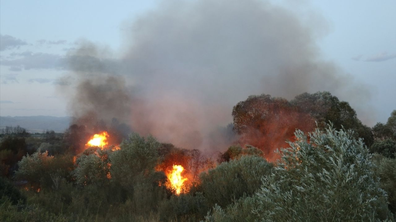GÜNCELLEME - Ağrı'da ağaçlık alanda çıkan yangın söndürüldü