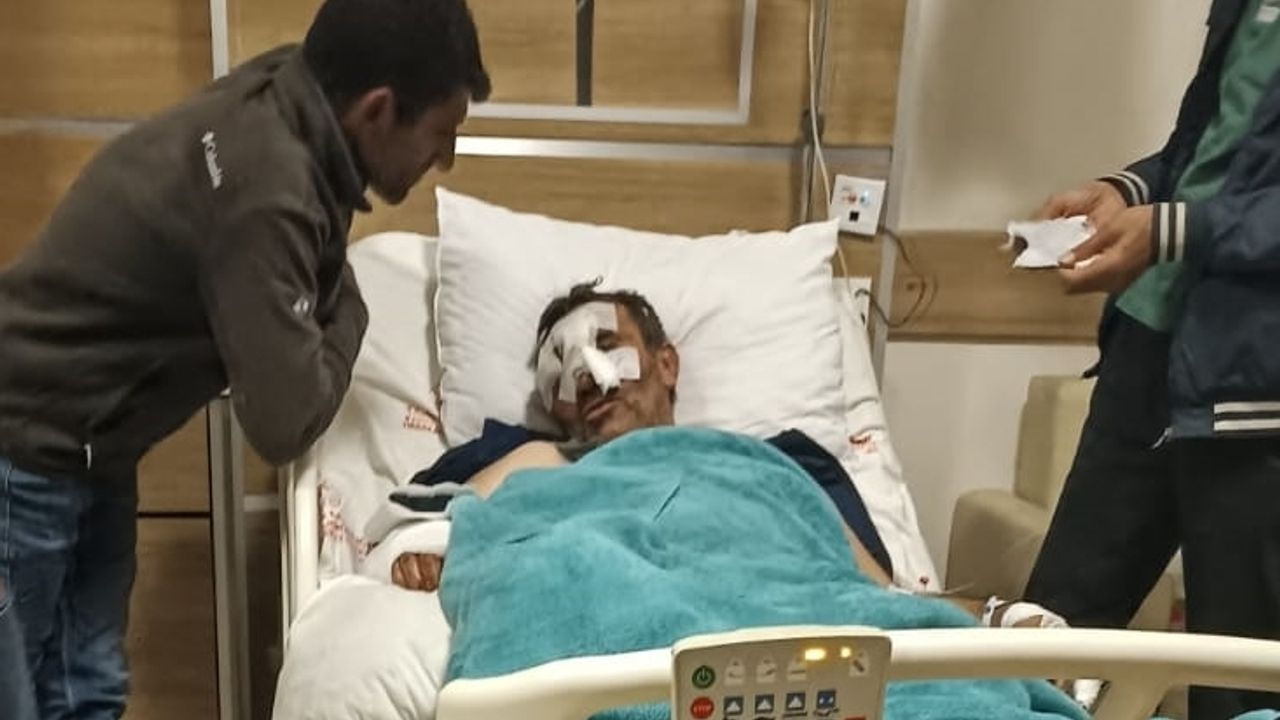 Kars'ta ayı saldırısına uğrayan kişi ağır yaralandı