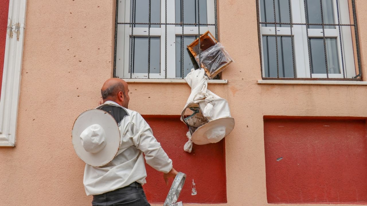 Van'da okulun duvarına konan yüzlerce bal arısı görevlilerce toplandı