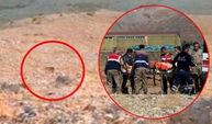Ovacık'ta ayı saldırdı! Askeri helikopterle Elazığ'a sevk edildi