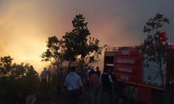 Bingöl'de besi çiftliğinde çıkan yangın hasara yol açtı