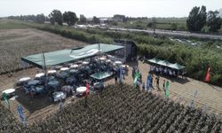 Hektaş'ın yeni pamuk tohumu "Volkan", Egeli çiftçilere tanıtıldı