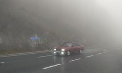 DÜZCE - Bolu Dağı'nda sis ve sağanak etkili oluyor