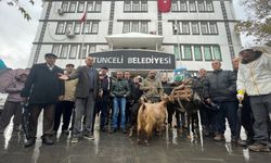 Tunceli'de yapılması planlanan tesise köylülerden "keçi, arı ve eşekli" tepki