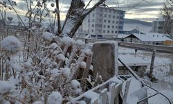 Ardahan'da kar ve soğuk hava etkili oluyor