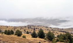 Ardahan'ın yüksek kesimlerinde sis etkili oldu
