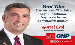 CHP Elazığ Milletvekili Gürsel Erol'dan yeni yıl mesajı