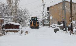 BİNGÖL - Kar ve tipi nedeniyle 283 köy yoluna ulaşım sağlanamıyor