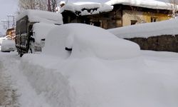 Doğu Anadolu'da 2 bin 348 yerleşim yerine kardan ulaşım sağlanamıyor