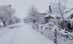 Kars ile Tunceli'de kar ve sis etkili oldu