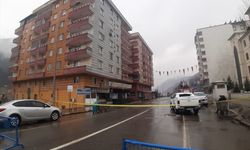Siirt Valisi Hacıbektaşoğlu'ndan, Kahramanmaraş merkezli depremlere ilişkin açıklama