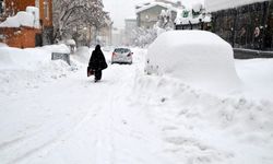 Van, Bitlis, Hakkari ve Muş'ta kar nedeniyle 1253 yerleşim biriminin yolu kapandı