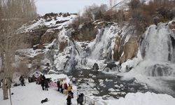 Vangölü Aktivistleri Derneği üyeleri, dondurucu soğukta Muradiye Şelalesi'nin sularında yüzdü