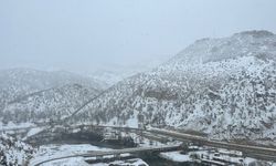Hozat-Ovacık kara yolu ile 251 köy yolu ulaşıma kapandı