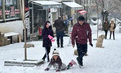Kar yağışı etkisini sürdürüyor: 255 köy yoluna ulaşım sağlanamıyor
