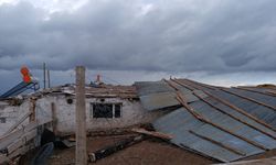 BİNGÖL - Şiddetli rüzgar çatıları uçurdu