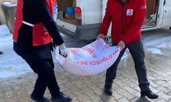 Baskil'de depremzedelere yardım