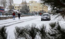 Erzurum, Kars ve Ardahan martın son gününde karla kaplandı