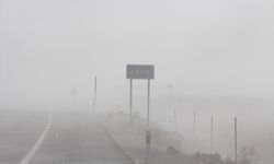 Kars-Iğdır kara yolunda etkili olan yoğun sis ulaşımı aksattı