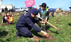 SİNOP - Depremde hayatını kaybedenler için hatıra ormanı oluşturuldu