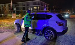 DÜZCE - Otomobille cipin çarpıştığı kazada 2 kişi yaralandı