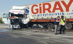 Bingöl'de tırla çarpışan kamyonetin sürücüsü öldü