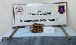 Elazığ'da bir kişi kaçak salep soğanı toplarken yakalandı