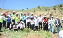 Hakkari'de "Dünya Çevre Günü" etkinliğinde fidan dikildi