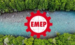 EMEP Dersim: Doğayı yağmalayan sisteme karşı yaşamı savunmak için mücadeleye