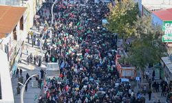 Vanlılar Filistin'e destek için yürüdü