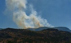 Dersim’de orman yangını: Yangın söndürme helikopteri ve askeri birlik sevk edildi