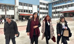 Belediye eş Başkanı Orhan’ın ev hapsi kararı kaldırıldı