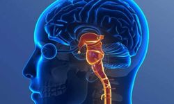 Kuzey’e ‘vicdanlılar’ umut oldu