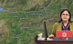 Milletvekili Kordu: Pülümür’ün doğası enerji rantına kurban ediliyor