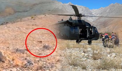 Ovacık'ta ayı saldırdı! Askeri helikopterle Elazığ'a sevk edildi